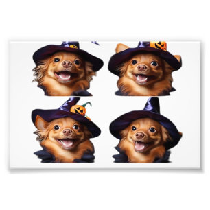 Funny Chihuahua Halloween Witch Costume � Cute Dog Photo Print