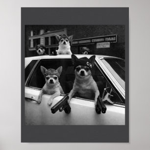 Funny Chihuahua Meme Chihuahua Gangster Dog Street Poster