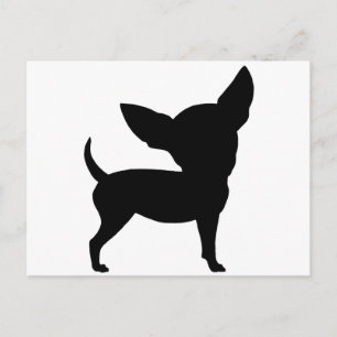 Funny Chihuahua Postcard