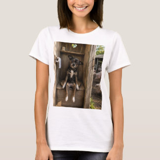 Funny Chihuahua Selfie Farm Women’s T-Shirt