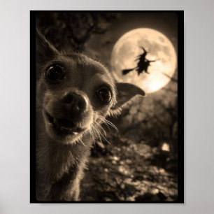 Funny Chihuahua Selfie Full Moon Flying Witch Poster