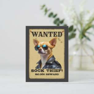Funny Chihuahua WANTED Poster with Cool Sunglasses Postcard