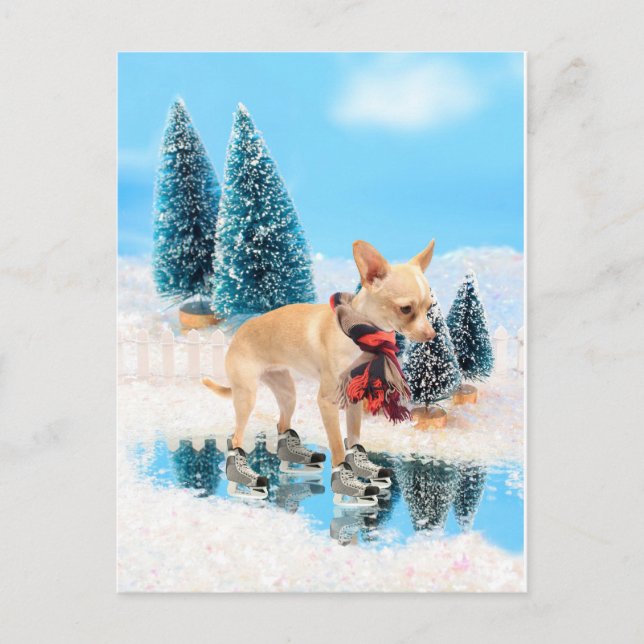 Funny chihuahua with scarf and skates holiday postcard (Front)