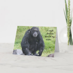 Funny Chimapanzee Birthday card for sister
