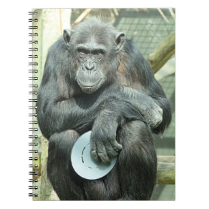 FUNNY CHIMPANZEE NOTEBOOK