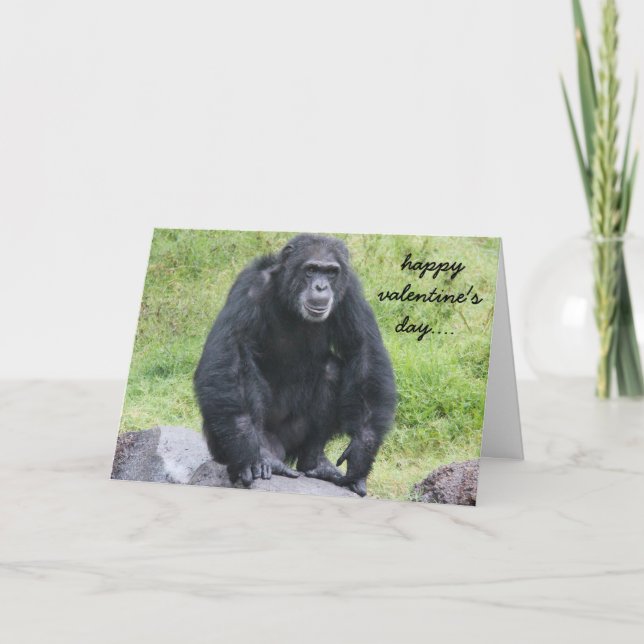 Funny Chimpanzee Valentine, wanna monkey around?! Holiday Card (Front)