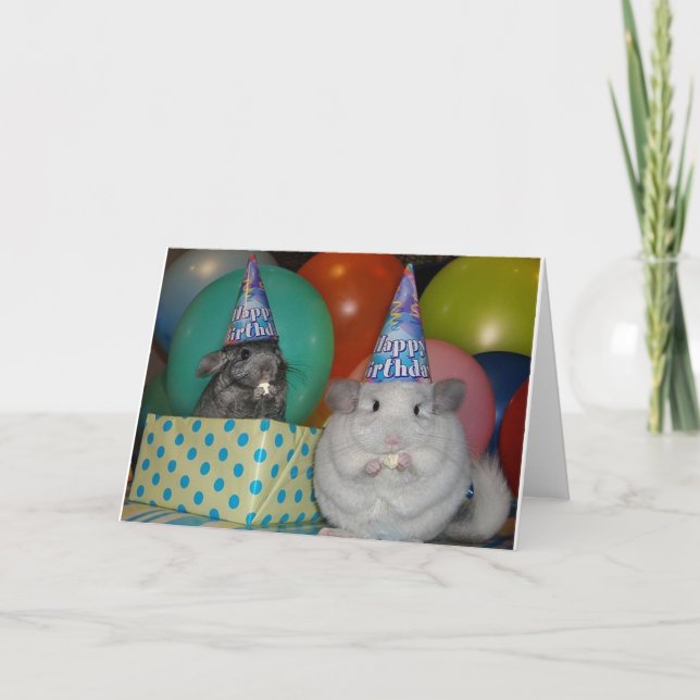 Funny Chinchilla Birthday Card (Front)