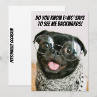 Funny Chinese Pug Cute Puppy Dog Animal Theory