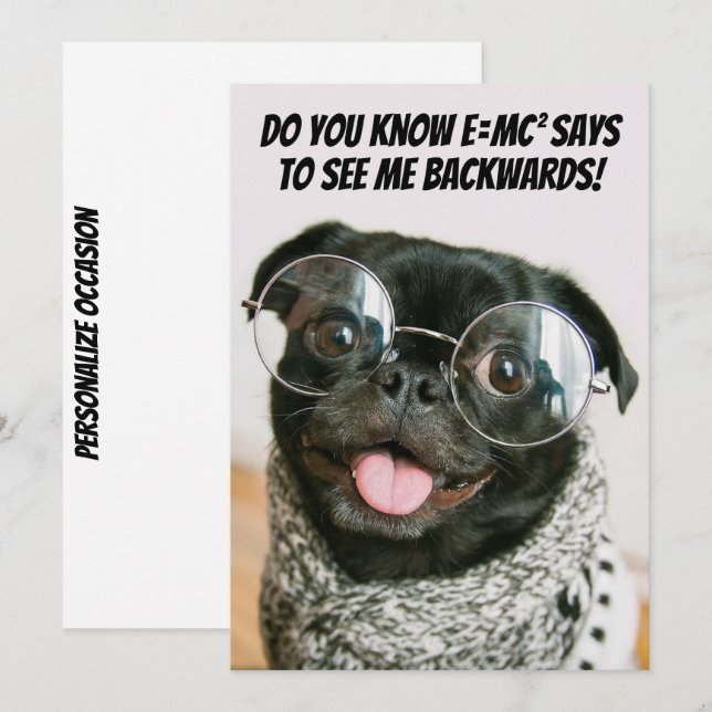 Funny Chinese Pug Cute Puppy Dog Animal Theory  Holiday Card (Front/Back)