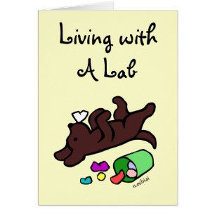 Funny Chocolate Labrador Cartoon Illustration