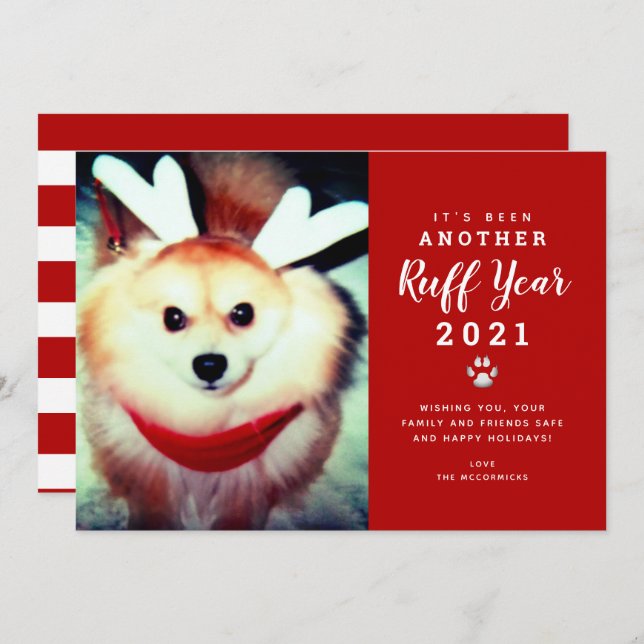 Funny Christmas 2021 Red Ruff Year Dog Photo  Holiday Card (Front/Back)