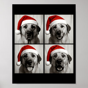 Funny Christmas Anatolian Shepherd Santa Dog Photo Poster