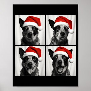 Funny Christmas Australian Cattle Dog Santa Photo Poster