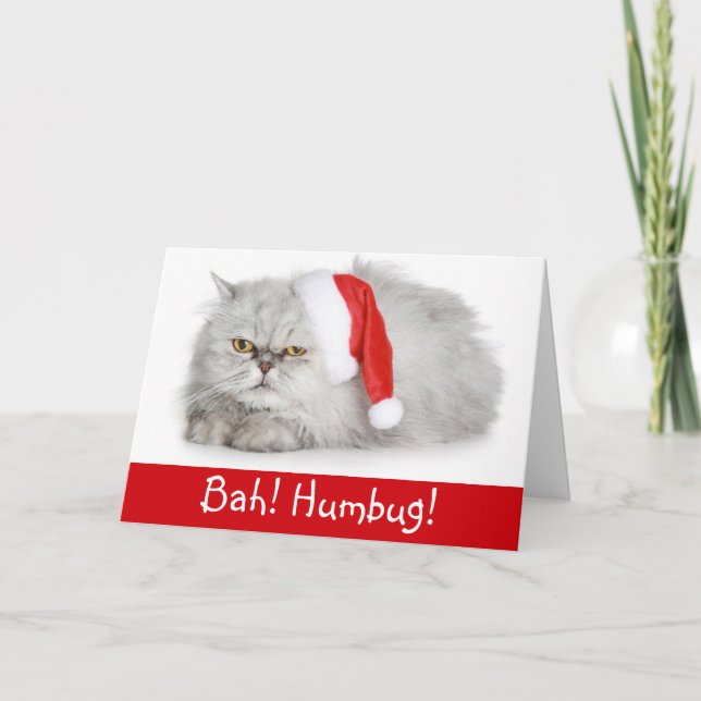 Funny Christmas  Bah Humbug Cat Holiday Card (Front)