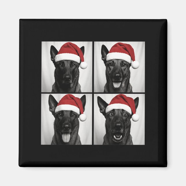 Funny Christmas Belgian Malinois Santa Dog Lover P Magnet (Front)
