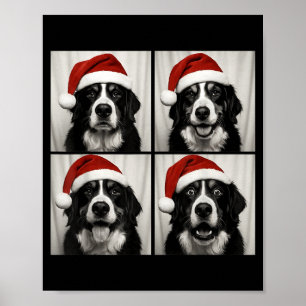 Funny Christmas Bernese Mountain Dog Santa Photo B Poster