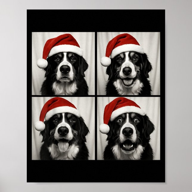 Funny Christmas Bernese Mountain Dog Santa Photo B Poster (Front)
