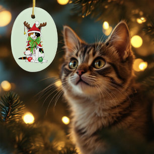 Funny Christmas Calico Cat Ceramic Ornament