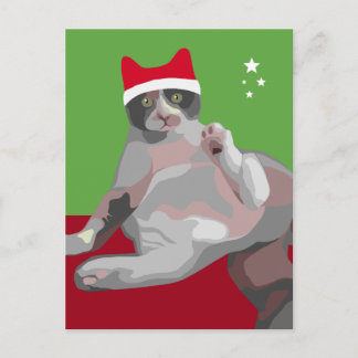 Funny Christmas Calico Cat in Santa Hat Holiday Postcard