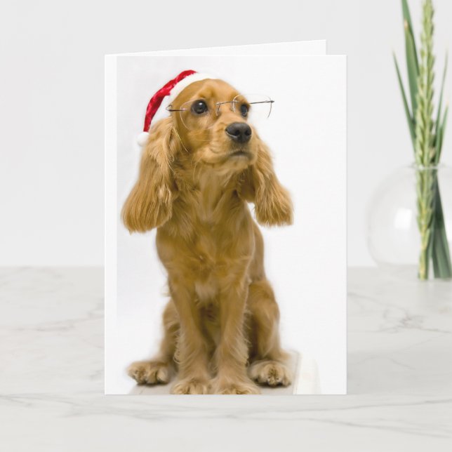 Funny Christmas Card (Front)