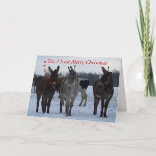 Funny Christmas Card