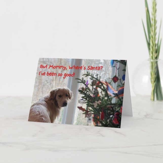 Funny Christmas card, dog waiting for Santa Card (Front)