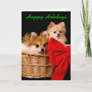 Funny Christmas Card - Pommies