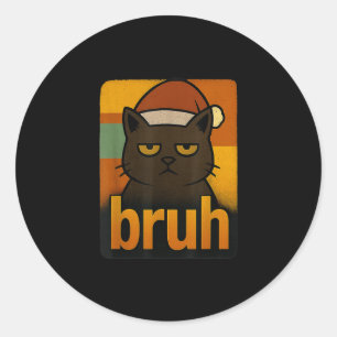 Funny Christmas Cat Bruh Meme Cool Classic Round Sticker
