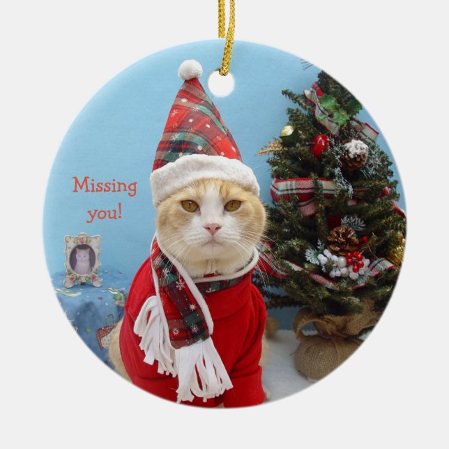 Funny Christmas Cat "Missing You!" Ceramic Ornament (Front)