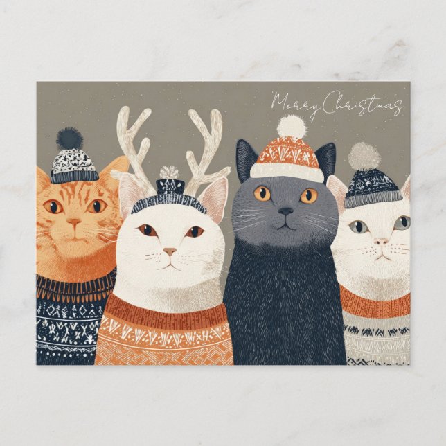 Funny Christmas Cat  Postcard (Front)