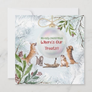 Funny Christmas Cats and Dogs: Cute Animals Card