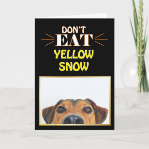Funny Christmas Dog Don't Eat Yellow Snow Gag Joke Card