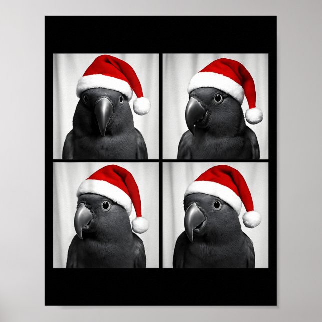 Funny Christmas Eclectus Parrot Santa Photo Booth  Poster (Front)