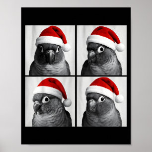 Funny Christmas Green Cheek Conure Santa Photo Boo Poster