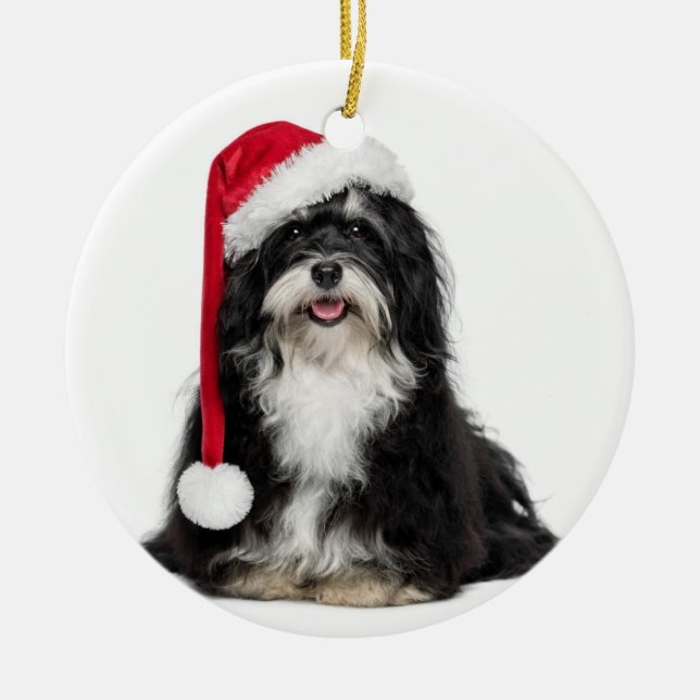 Funny Christmas Havanese Dog With Santa Hat Ceramic Tree Decoration (Front)