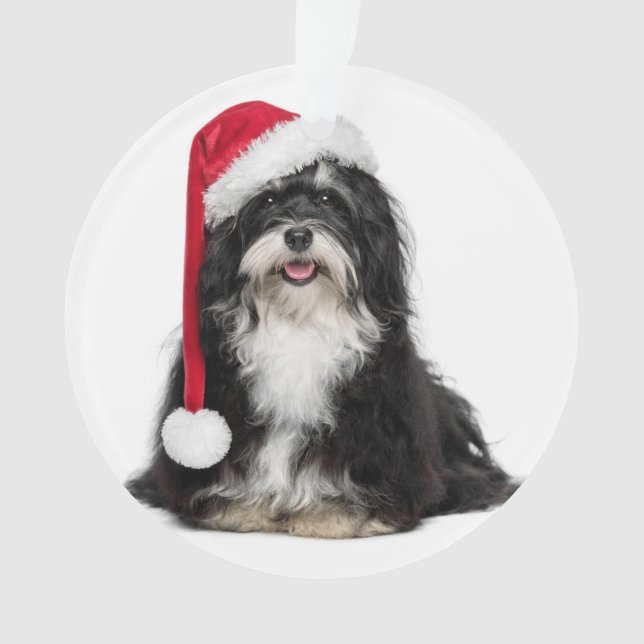 Funny Christmas Havanese Dog With Santa Hat Ornament (Front)