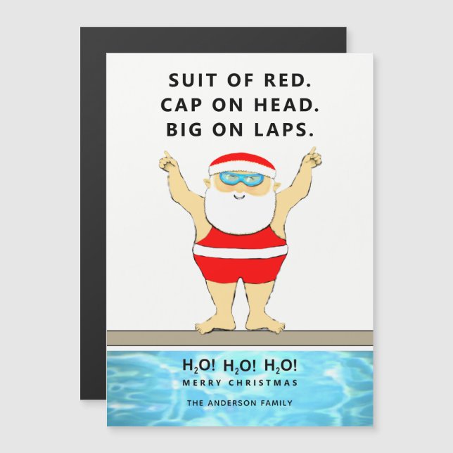 Funny Christmas Holiday Cards (Front/Back)