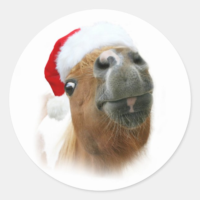 Funny Christmas horse Classic Round Sticker (Front)