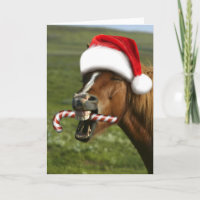 Funny Christmas horse with Santa hat smiling