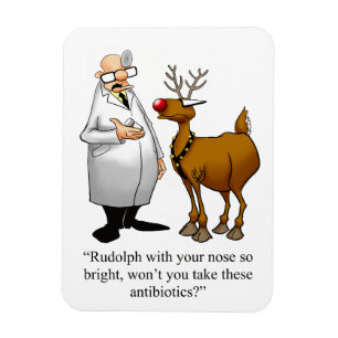 Funny Christmas  Humor Magnet Gift