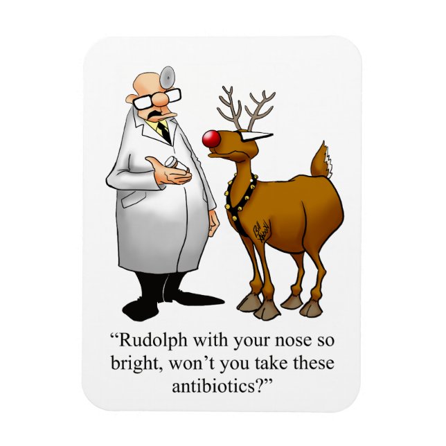 Funny Christmas  Humour Magnet Gift (Vertical)