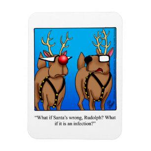 Funny Christmas Humour Magnet Gift