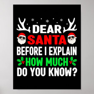 Funny Christmas Kids Adults Dear Santa I Can Expla Poster