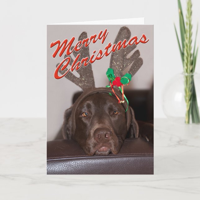 Funny Christmas Labrador With Glitter Antlers Holiday Card (Front)