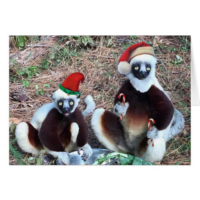 Funny Christmas Lemurs Greeting Card (Front Horizontal)