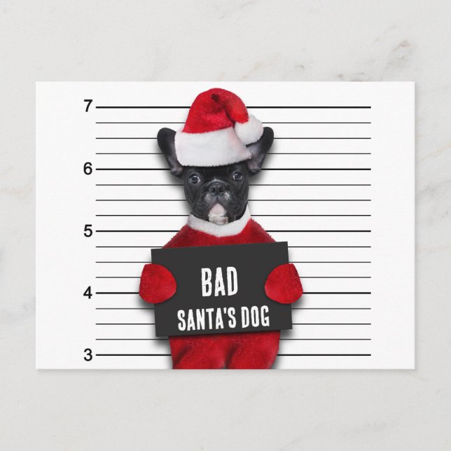 Funny Christmas Mugshot Bad Santa's Dog Holiday Postcard (Front)