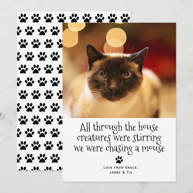 Funny Christmas Pet Cat Holiday Card (Front/Back)