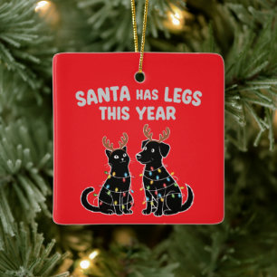 Funny Christmas Pet Humour   Santa Has Legs This  Ceramic Ornament