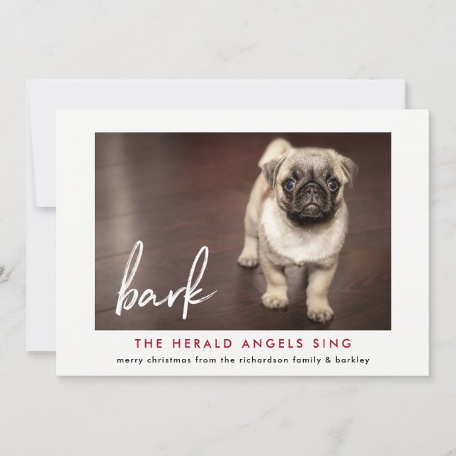 Funny Christmas Photo Card from the Dog | Red (Front)