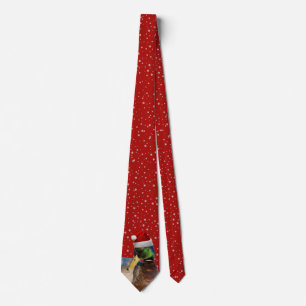 Funny Christmas Santa Duck Tie